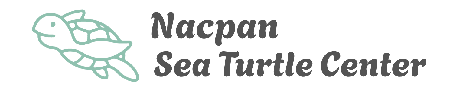 Nacpan Sea Turtle Center